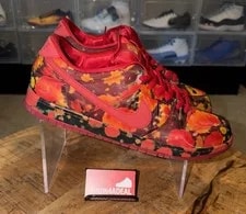 Nike SB — Size 17 the Wizard of Oz X Nike SB Dunk Low Pro Field Shoes FZ1291-600 — Sneaker — resale