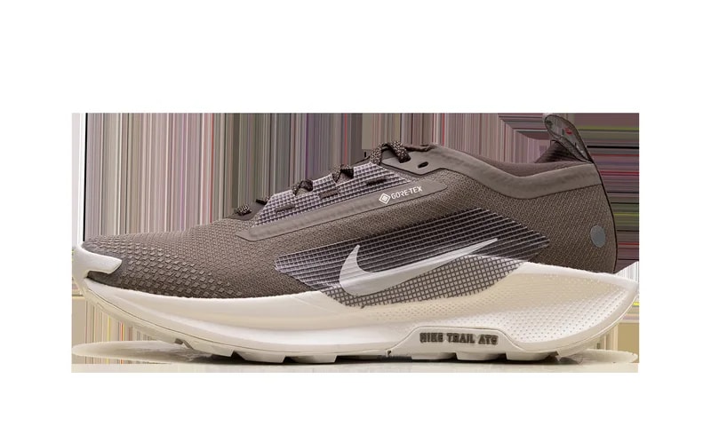 Nike — Pegasus Trail 5 Gore-Tex "Mink " HQ7494 200 — Sneaker — resale