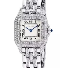 Cartier — Cartier Panthere Silver Dial on Bracelet WSPN0006 With Box 2026 — Watch — resale