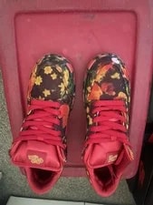 Nike — Size 9.5 - the Wizard of Oz X Nike Dunk SB Low Field — Sneaker — resale