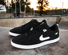 Nike SB — Nike SB Alleyoop Low Skateboarding Shoes Dunk New Fast Ship — Sneaker — resale