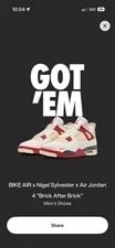 Air Jordan — Nigel Sylvester Air Jordan 4 After Size 8.5M - Presale — Sneaker — resale