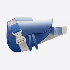 Dior — Dior Authentic 0 Unknown Saddle 00 20 Cm X 28.6 Cm X 5 Cm — Handbag — resale