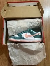 Nike — Nike Dunk Low Washed Bleached — Sneaker — resale