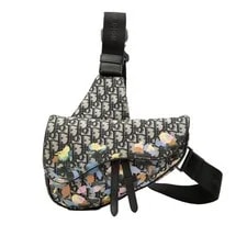 Dior — Dior X Alex Foxton Saddle Body Waist 【】 — Handbag — resale