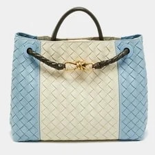 Bottega Veneta Andiamo Medium