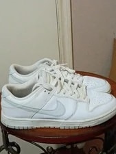 Nike — Nike Dunk Low Retro -101 Low Top — Sneaker — resale