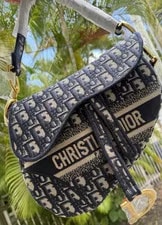 Christian Dior & Logo Saddle With & Dust