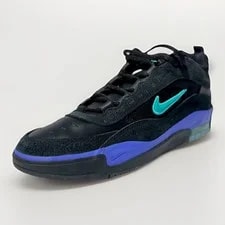 Nike SB — Nike SB Air Max Ishod Wair Grape Persian FB2393-003 Size 12 New — Sneaker — resale
