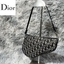 Christian Dior Trotter Print