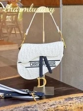 Dior — Christian Dior Saddle Perforated Crossbody — Handbag — resale