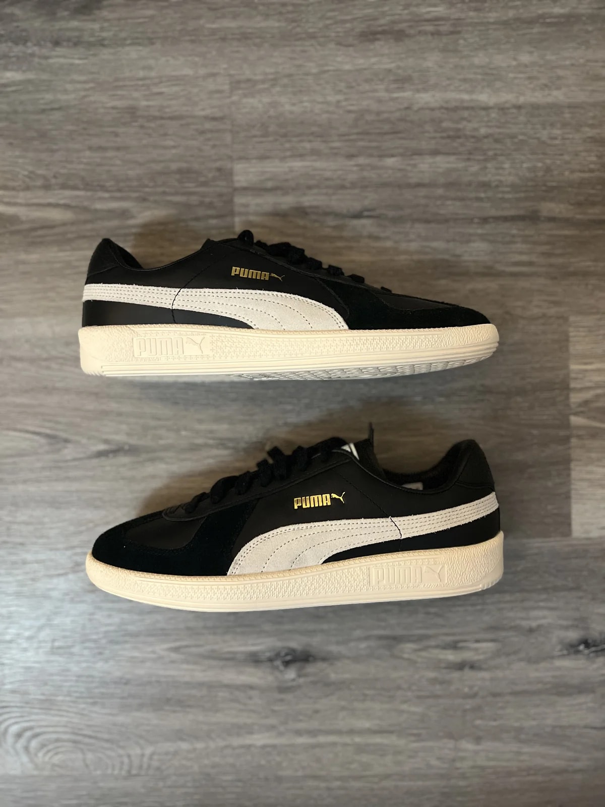 Puma Army