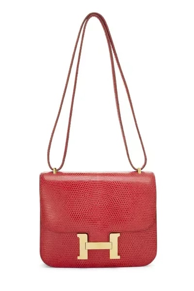 Hermès — Vif Varanus Niloticus Water Monitor Constance 18 — Handbag — resale