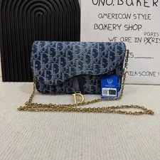 Dior — Dior Saddle Wallet on Chain WOC Chain Flap Crossbody — Handbag — resale