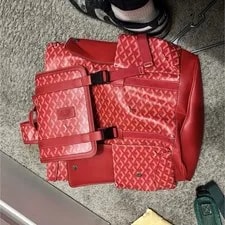 Goyard — Goyard Pattern Backpack Buckle Strap Accents Lining Pockets — Handbag — resale