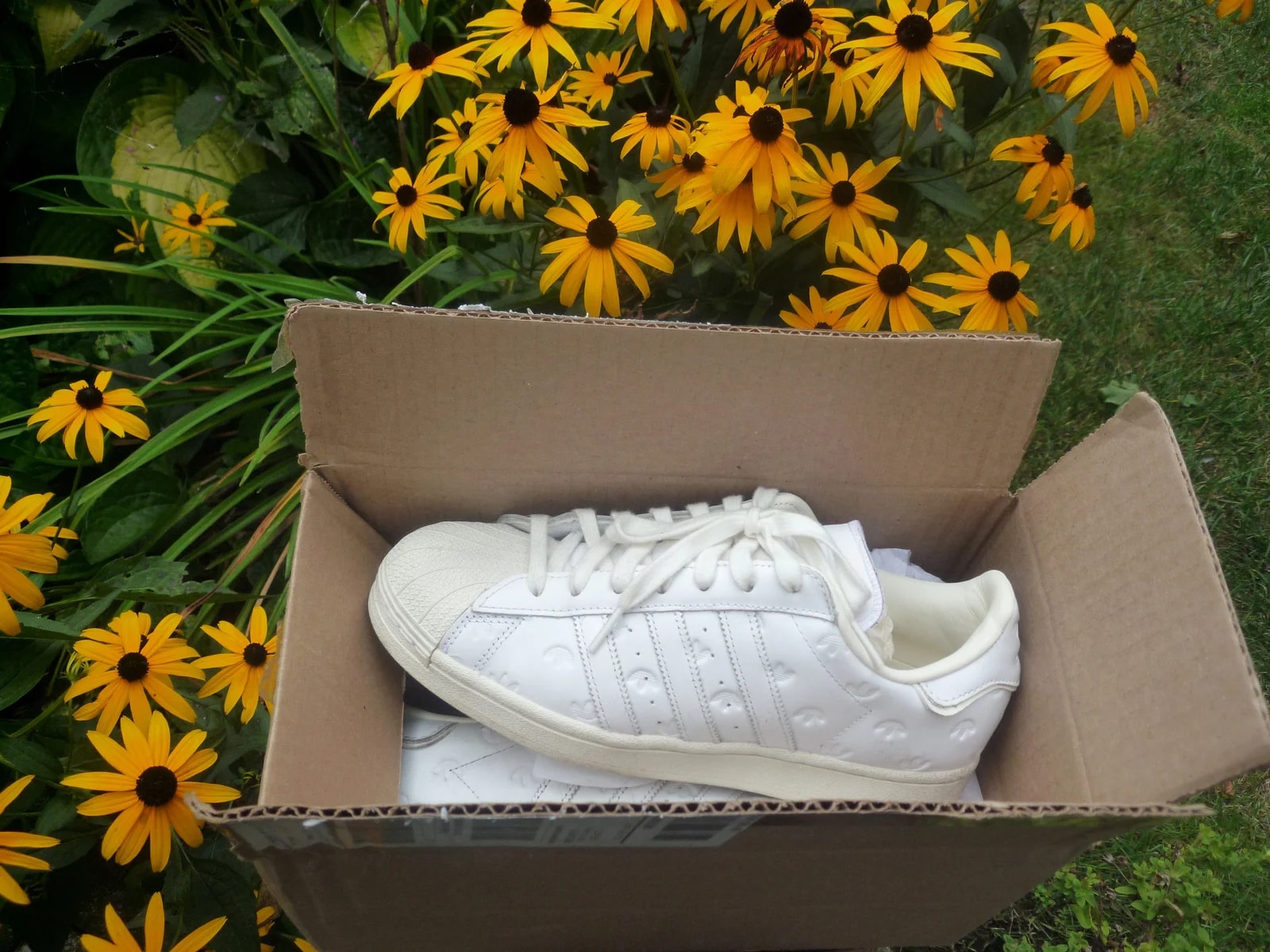 Adidas — Adidas Superstar — Sneaker — resale