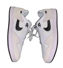 Nike SB — New Nike SB Alleyoop Neutral Low Top Comfortable Skater Foam Nike Dunks — Sneaker — resale