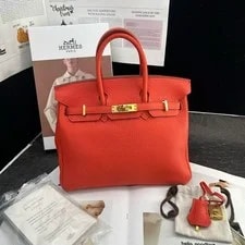 Hermès — Auth Hermès Birkin 25 Top Handle Capucine Collector — Handbag — resale