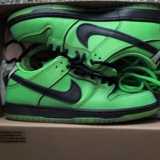 Nike SB — Nike SB Dunk Low Pro QS / Skateboarding Shoes US Size 9 Medium Width — Sneaker — resale