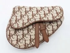 Dior — Christian Dior X Cactus Jack Sd0226lzxzde — Handbag — resale