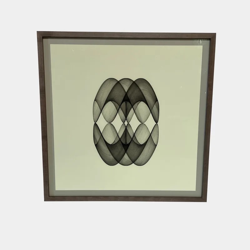 Rhan Small Ernst — Framed Print: Anima — decorative_object — resale