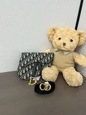 Dior — Dior Saddle Waist Chest for — Handbag — resale