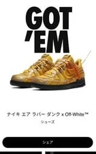 Off-White — Off-White X Air Dunk Shoes 10US New — Sneaker — resale