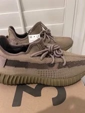 Yeezy — Yeezy 350 V2 Earth ’s — Sneaker — resale