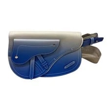 Dior — Christian Dior Bag: Saddle Gradation W24H17D3cm W/o Accessories; — Handbag — resale