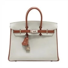 Hermès — Hermès Birkin 25 le Tournay Coromandel X Noazette Matte — Handbag — resale