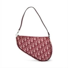 Christian Dior Trotter Saddle X