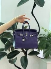 Hermès — Hermès Birkin 25 Top Handle Deep Palladium — Handbag — resale