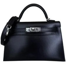 Noir — Hermes Kelly Mini 20 Box Palladium — Handbag — resale
