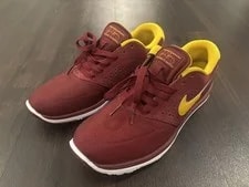 Nike SB — Nike SB Lunar Rod - Team , Size 9 (Barely Worn) — Sneaker — resale
