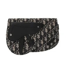 Dior — Dior Saddle 1ADP0044YKY_H27E /SilverMetal Body — Handbag — resale