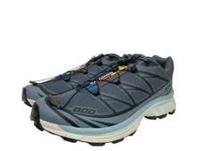 Salomon — Salomon XT-6 US11 29cm Turbulence X Trooper Box — Sneaker — resale