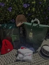 Goyard — Goyard Pattern Zip — Handbag — resale